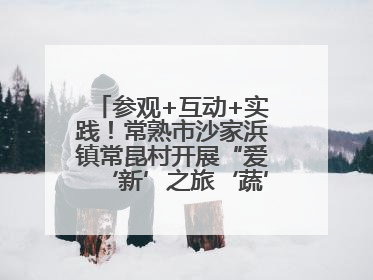 参观+互动+实践！常熟市沙家浜镇常昆村开展“爱‘新’之旅‘蔬’适生活”参观学习活动