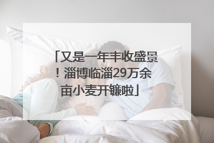 又是一年丰收盛景！淄博临淄29万余亩小麦开镰啦