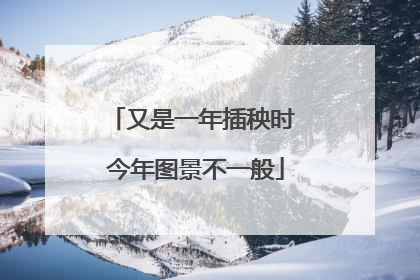 又是一年插秧时 今年图景不一般