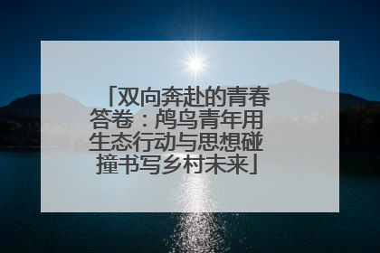 双向奔赴的青春答卷：鸬鸟青年用生态行动与思想碰撞书写乡村未来