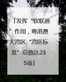发挥“软联通”作用，粤港澳大湾区“湾区标准”总数达235项