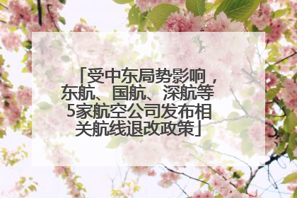 受中东局势影响，东航、国航、深航等5家航空公司发布相关航线退改政策
