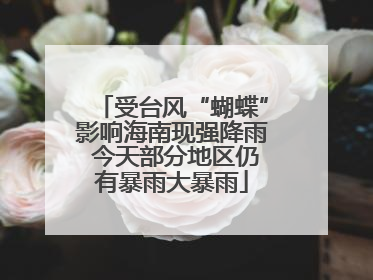 受台风“蝴蝶”影响海南现强降雨 今天部分地区仍有暴雨大暴雨