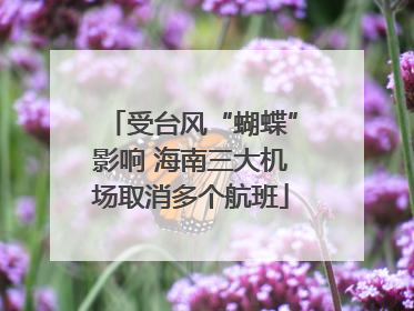 受台风“蝴蝶”影响 海南三大机场取消多个航班