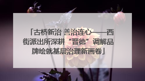 古桥新治 善治连心——西街派出所深耕“晋德”调解品牌绘就基层治理新画卷