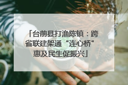 台前县打渔陈镇：跨省联建架通“连心桥” 惠及民生促振兴