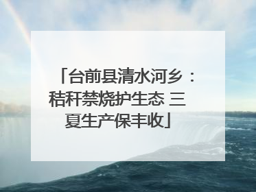 台前县清水河乡：秸秆禁烧护生态 三夏生产保丰收