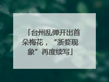 台州乱弹开出首朵梅花，“浙婺现象”再度续写