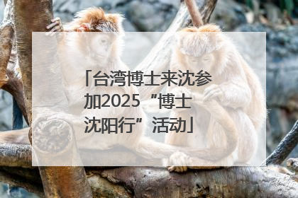 台湾博士来沈参加2025“博士沈阳行”活动