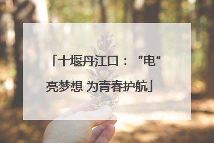十堰丹江口：“电”亮梦想 为青春护航