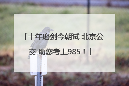 十年磨剑今朝试 北京公交 助您考上985！
