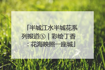 半城江水半城花系列报道⑤｜彩绘丁香：花海映照一座城