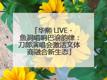 华熙 LIVE・鱼洞唱响巴渝韵律：刀郎演唱会激活文体商融合新生态