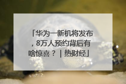 华为一新机将发布，8万人预约背后有啥惊喜？｜热财经