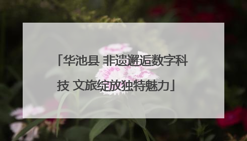 华池县 非遗邂逅数字科技 文旅绽放独特魅力