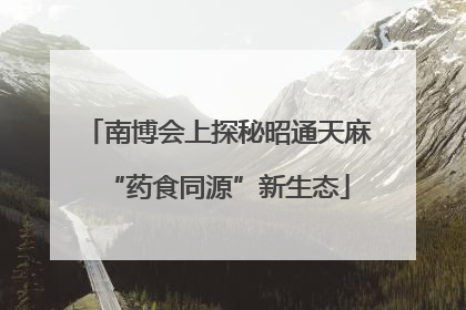 南博会上探秘昭通天麻“药食同源”新生态