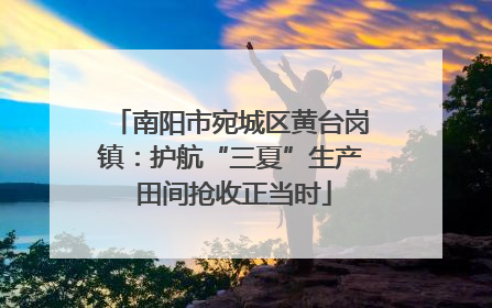 南阳市宛城区黄台岗镇：护航“三夏”生产 田间抢收正当时