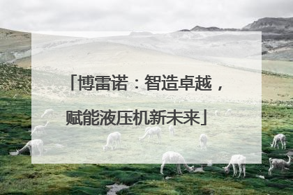 博雷诺：智造卓越，赋能液压机新未来
