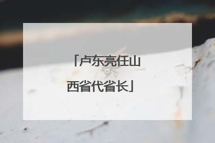 卢东亮任山西省代省长