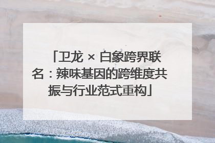 卫龙 × 白象跨界联名：辣味基因的跨维度共振与行业范式重构
