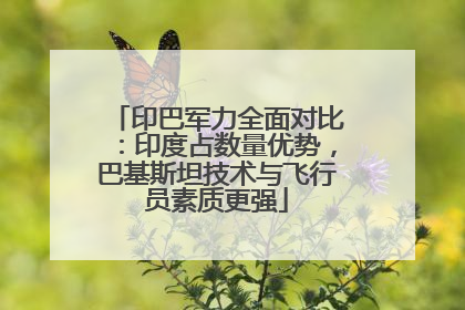 印巴军力全面对比：印度占数量优势，巴基斯坦技术与飞行员素质更强