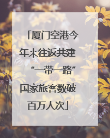 厦门空港今年来往返共建“一带一路”国家旅客数破百万人次