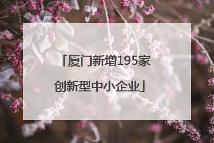 厦门新增195家创新型中小企业