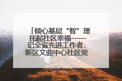 倾心基层“智”理 托起社区幸福——记全省先进工作者、新区文曲中心社区党委书记董世弘