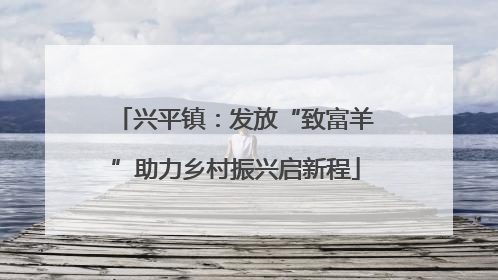 兴平镇：发放“致富羊”助力乡村振兴启新程