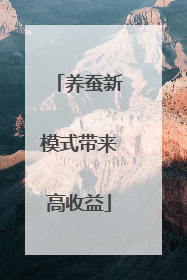 养蚕新模式带来高收益