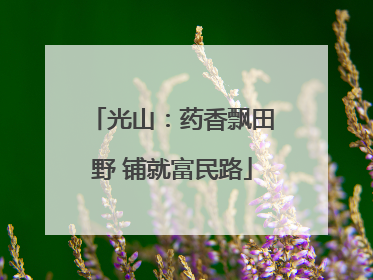 光山：药香飘田野 铺就富民路