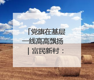 党旗在基层一线高高飘扬｜富民新村：党建引领绘就乡村振兴美丽画卷