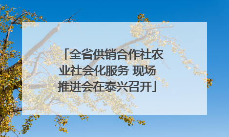 全省供销合作社农业社会化服务 现场推进会在泰兴召开