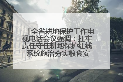 全省耕地保护工作电视电话会议强调：扛牢责任守住耕地保护红线 系统施治夯实粮食安全根基 王宁作出批示 王予波出席并讲话