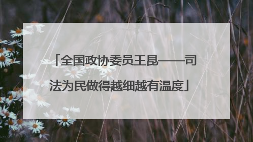 全国政协委员王昆——司法为民做得越细越有温度