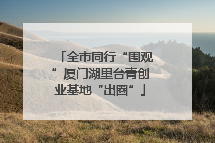 全市同行“围观”厦门湖里台青创业基地“出圈”