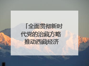 全面贯彻新时代党的治藏方略 推动西藏经济高质量发展