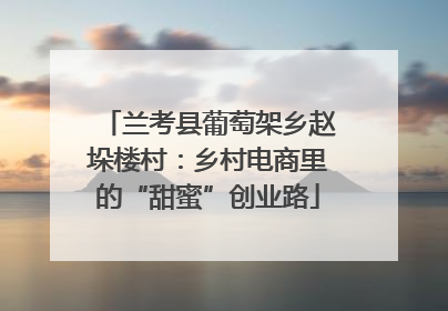 兰考县葡萄架乡赵垛楼村：乡村电商里的“甜蜜”创业路