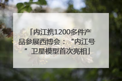 内江携1200多件产品参展西博会：“内江号”卫星模型首次亮相