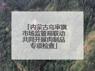 内蒙古乌审旗市场监管局联动共同开展肉制品专项检查