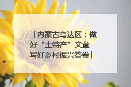 内蒙古乌达区：做好“土特产”文章 写好乡村振兴答卷