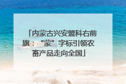 内蒙古兴安盟科右前旗：“蒙”字标引领农畜产品走向全国