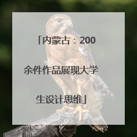 内蒙古：200余件作品展现大学生设计思维