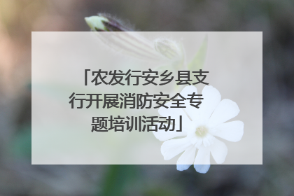 农发行安乡县支行开展消防安全专题培训活动
