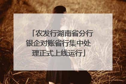 农发行湖南省分行银企对账省行集中处理正式上线运行