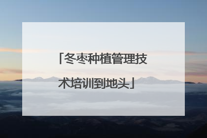 冬枣种植管理技术培训到地头