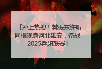 冲上热搜！樊振东许昕同框现身河北雄安，备战2025乒超联赛