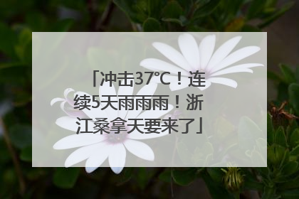 冲击37℃！连续5天雨雨雨！浙江桑拿天要来了