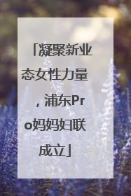 凝聚新业态女性力量，浦东Pro妈妈妇联成立