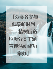 分类齐参与 低碳新时尚——椿树街道垃圾分类主题宣传活动成功举办
